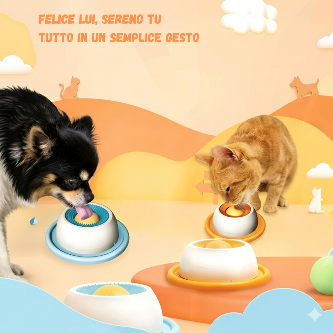 Pet Bowl
