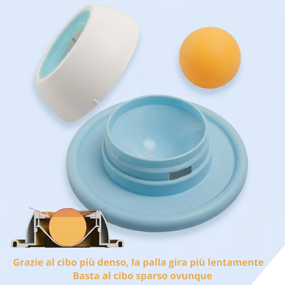 Pet Bowl