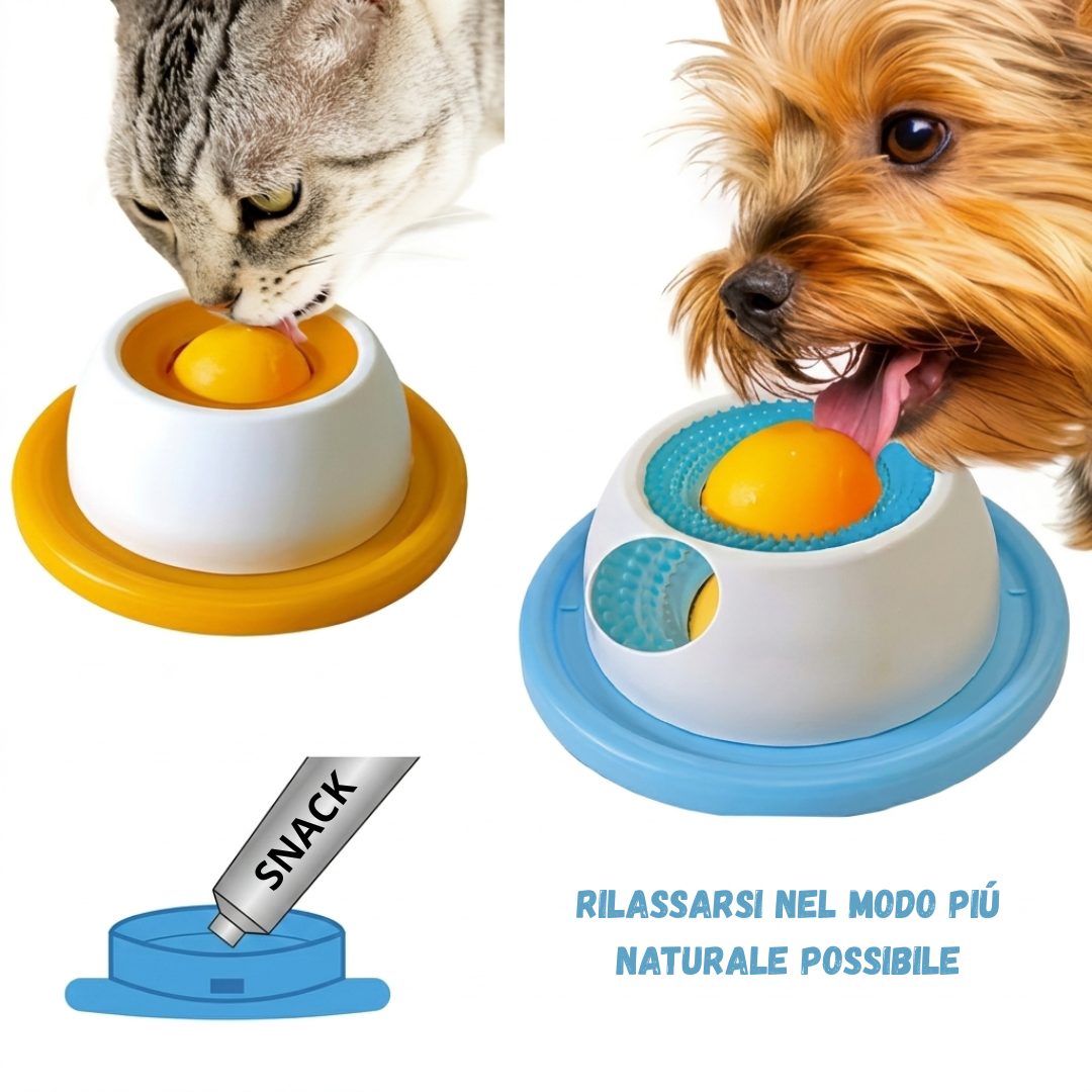 Pet Bowl